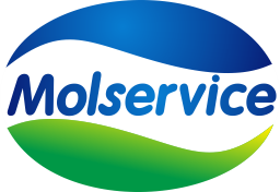 Молсервис — логотип